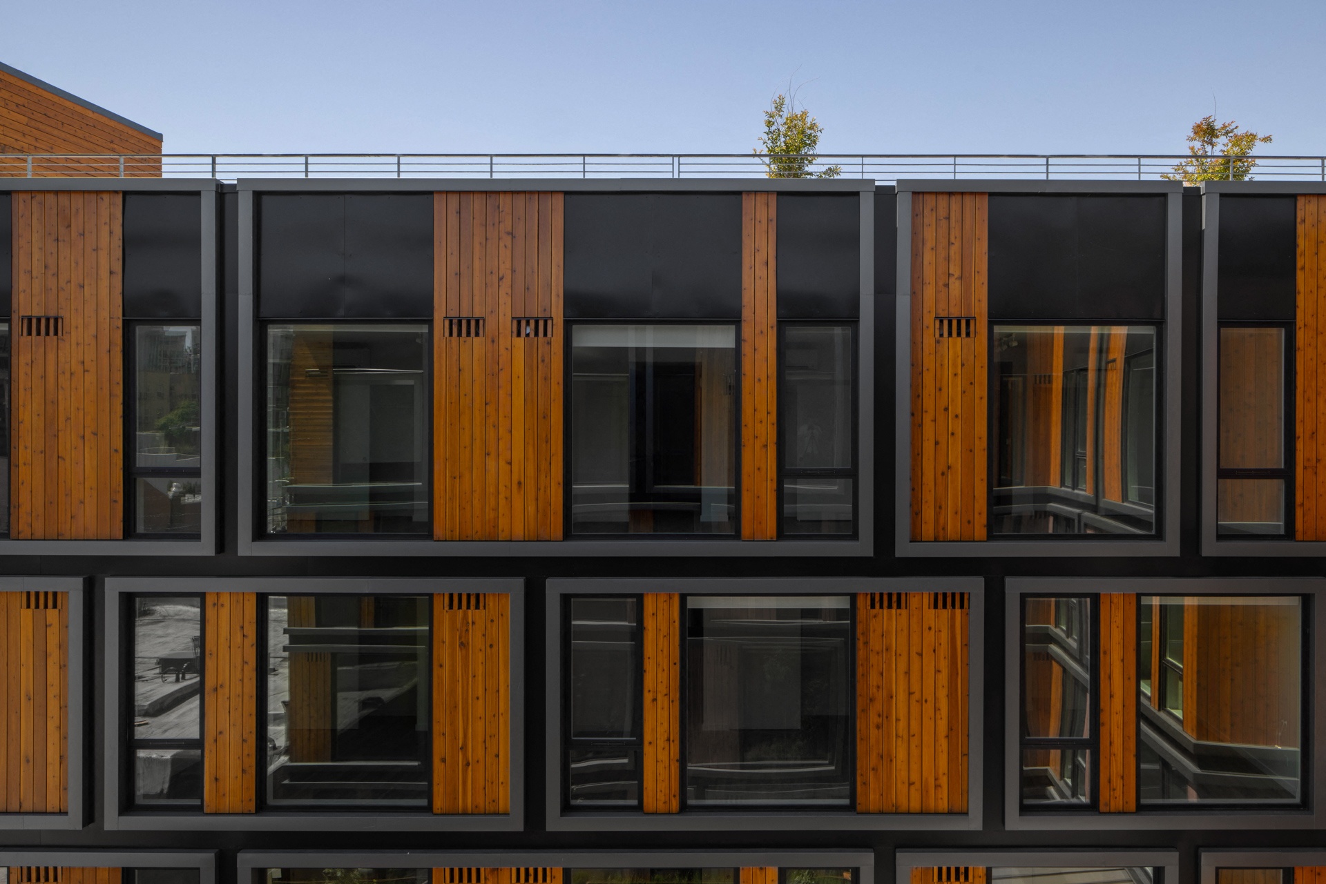 The Wilder — image 7